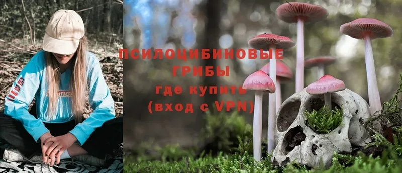 Псилоцибиновые грибы Psilocybe  ОМГ ОМГ ссылки  Полысаево  что такое  